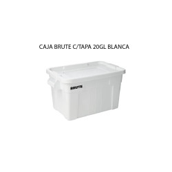 CAJA BRUTE CON TAPA 20GL...