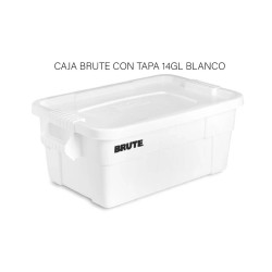 CAJA BRUTE CON TAPA 14GL...